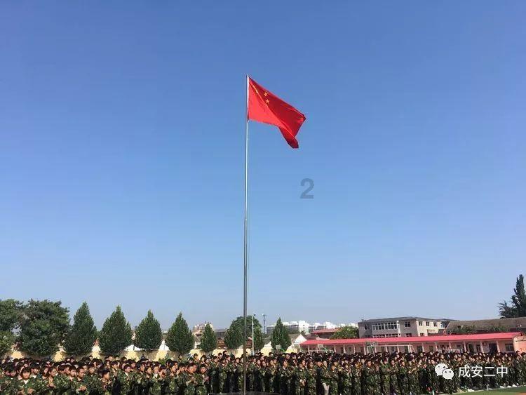 强大的狮子拼图