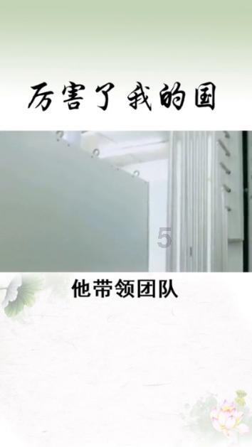 见缝插刀2无敌版